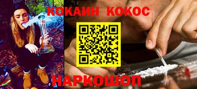 сатива Ставрополь