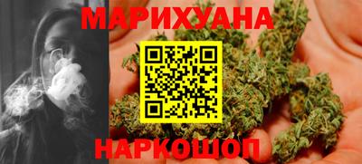 сатива Ставрополь