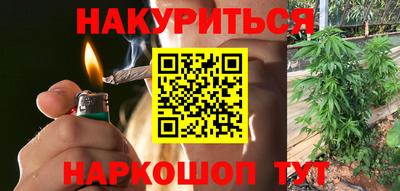 сатива Ставрополь