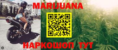 сатива Ставрополь